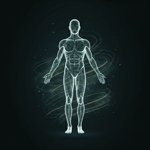 Dashboards & Reports